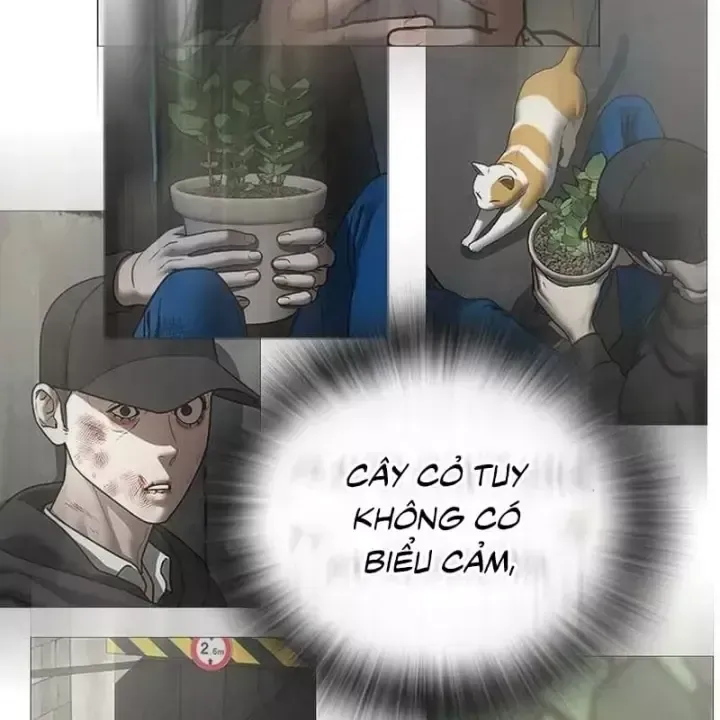 Nhiệm Vụ Đời Thật Chap 232 - Next Chap 233