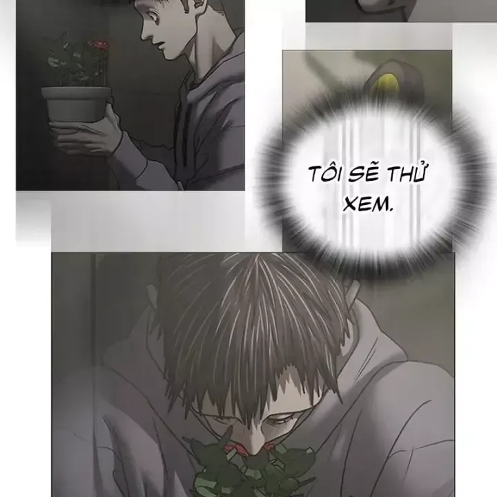 Nhiệm Vụ Đời Thật Chap 232 - Next Chap 233