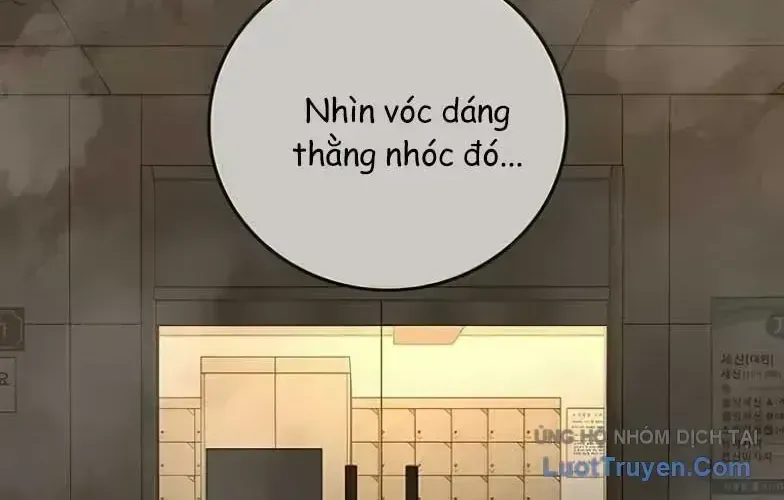Nhiệm Vụ Đời Thật Chap 244 - Next Chap 245