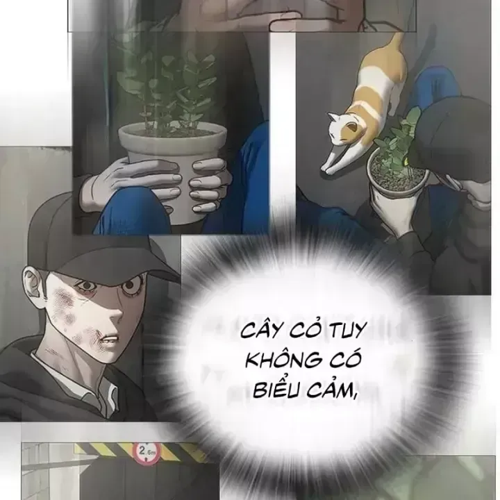 Nhiệm Vụ Đời Thật Chap 250 - Next Chap 251