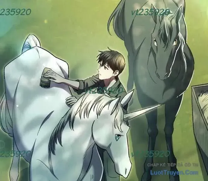 Những Ranker Cấp S Mà Tôi Nuôi Dưỡng Chap 156 - Next Chap 157