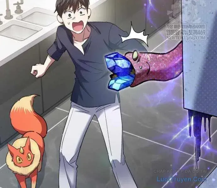 Những Ranker Cấp S Mà Tôi Nuôi Dưỡng Chap 156 - Next Chap 157
