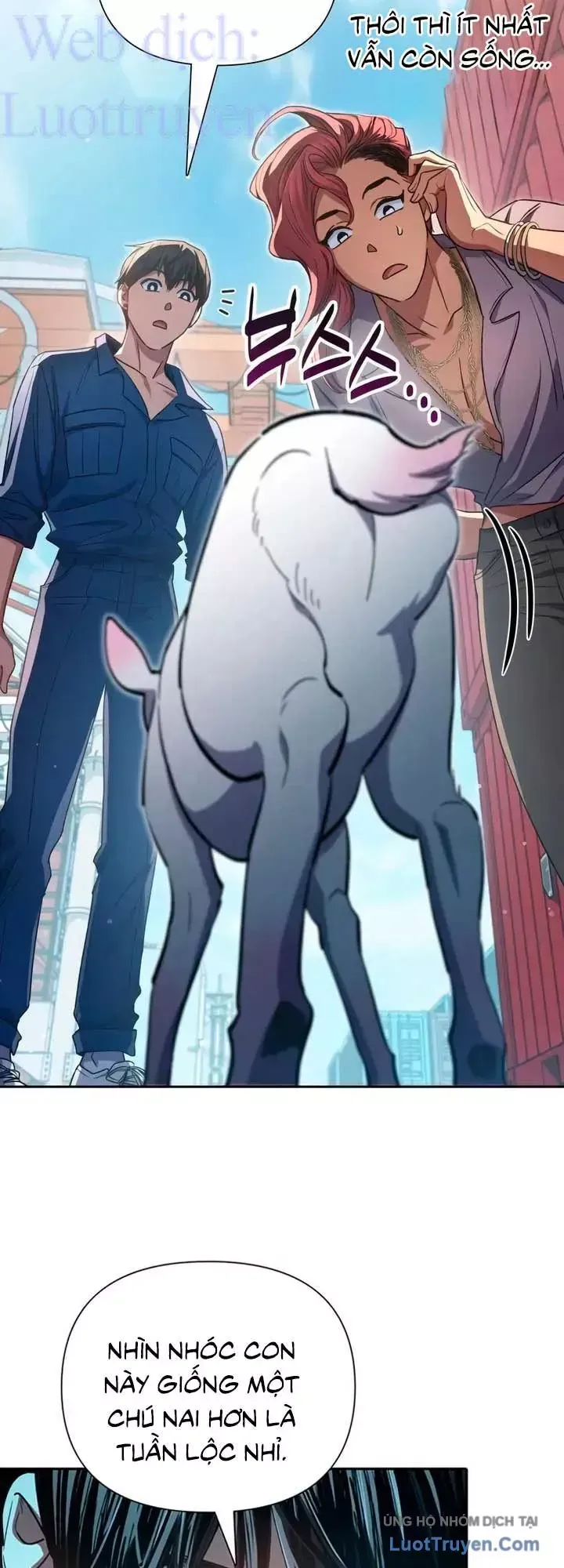 Những Ranker Cấp S Mà Tôi Nuôi Dưỡng Chap 166 - Next Chap 167