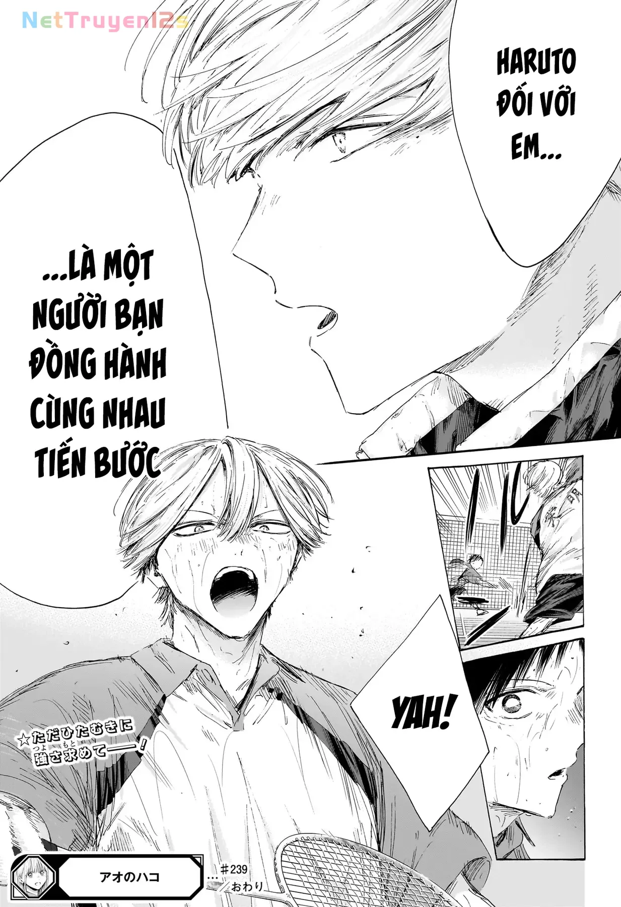 Blue Box Chap 239 - Next Chap 240