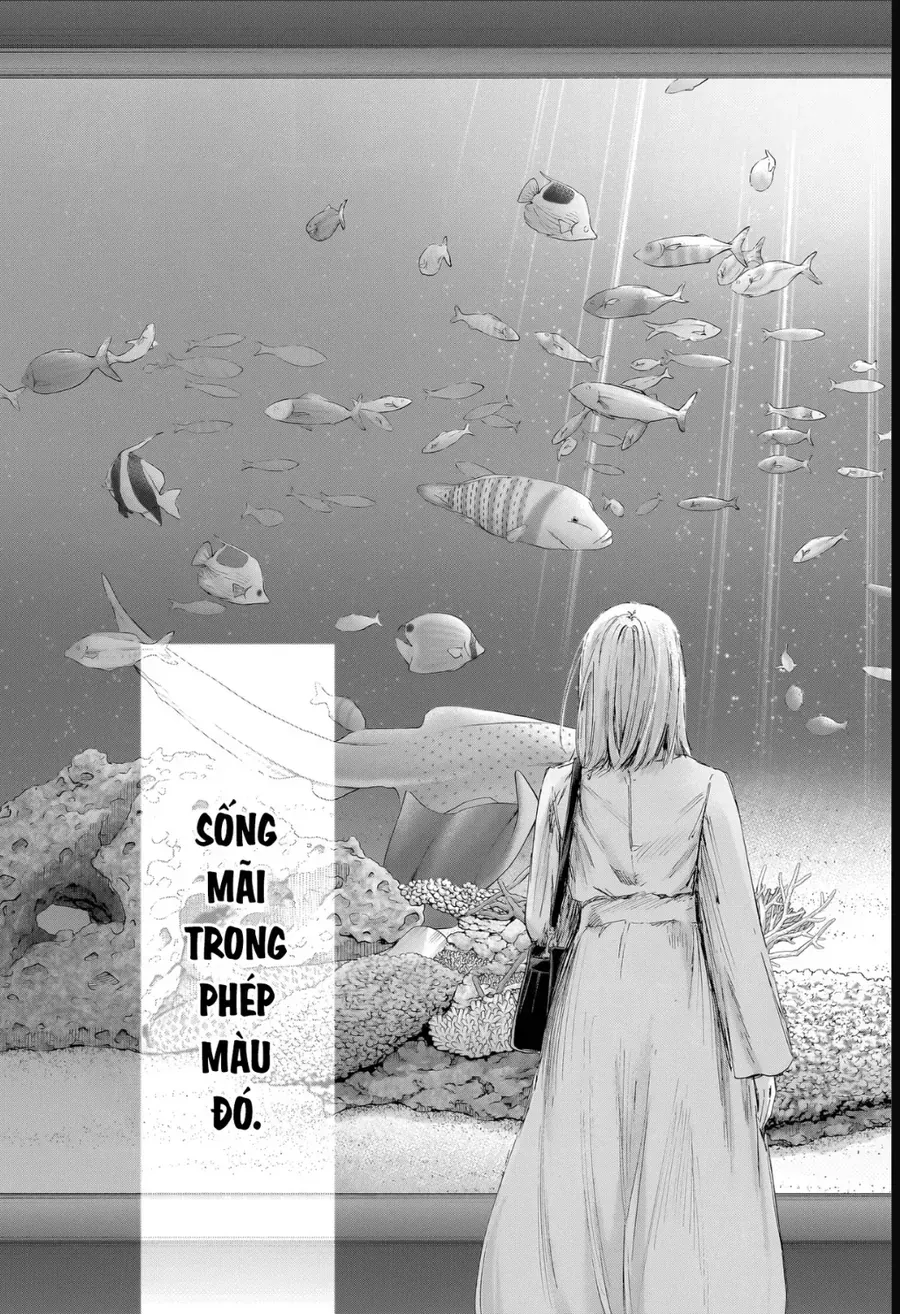 Blue Box Chap 235 - Next Chap 236