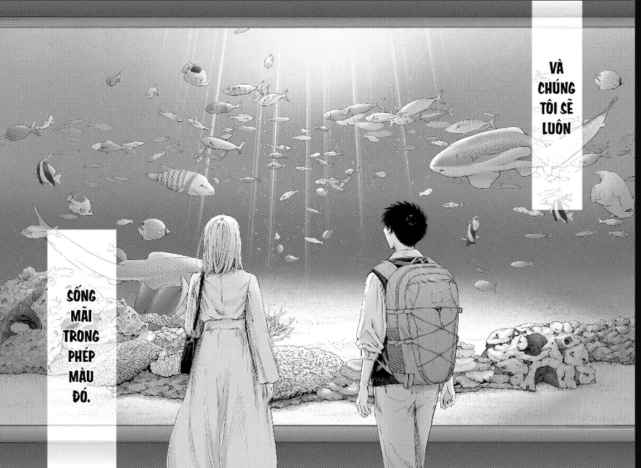 Blue Box Chap 235 - Next Chap 236