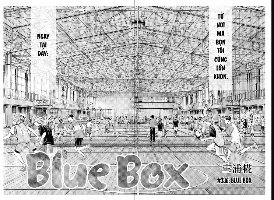 Blue Box Chap 236 - Next Chap 237