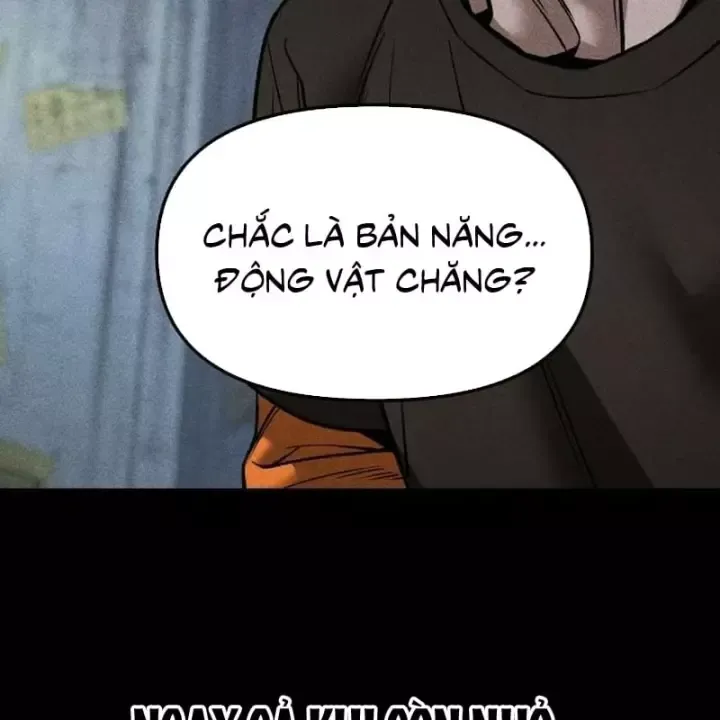 Giang Hồ Thực Thi Công Lý Chap 190 - Next Chap 191