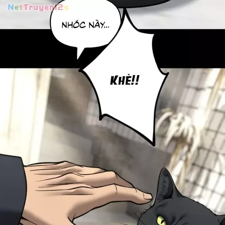 Giang Hồ Thực Thi Công Lý Chap 190 - Next Chap 191