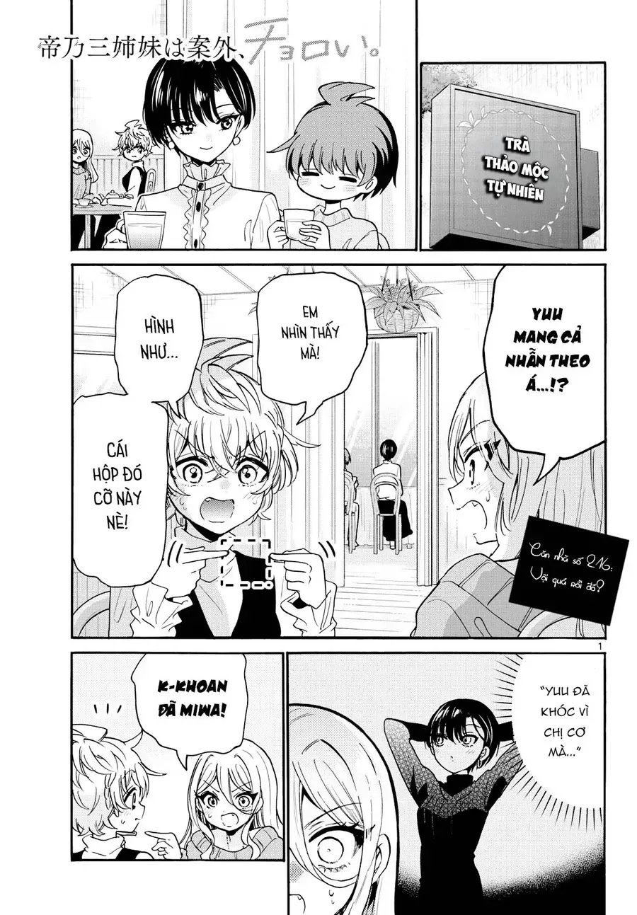 Ba Chị Em Nhà Mikadono Dễ Đối Phó Thật Đấy Chap 216 - Next Chap 217
