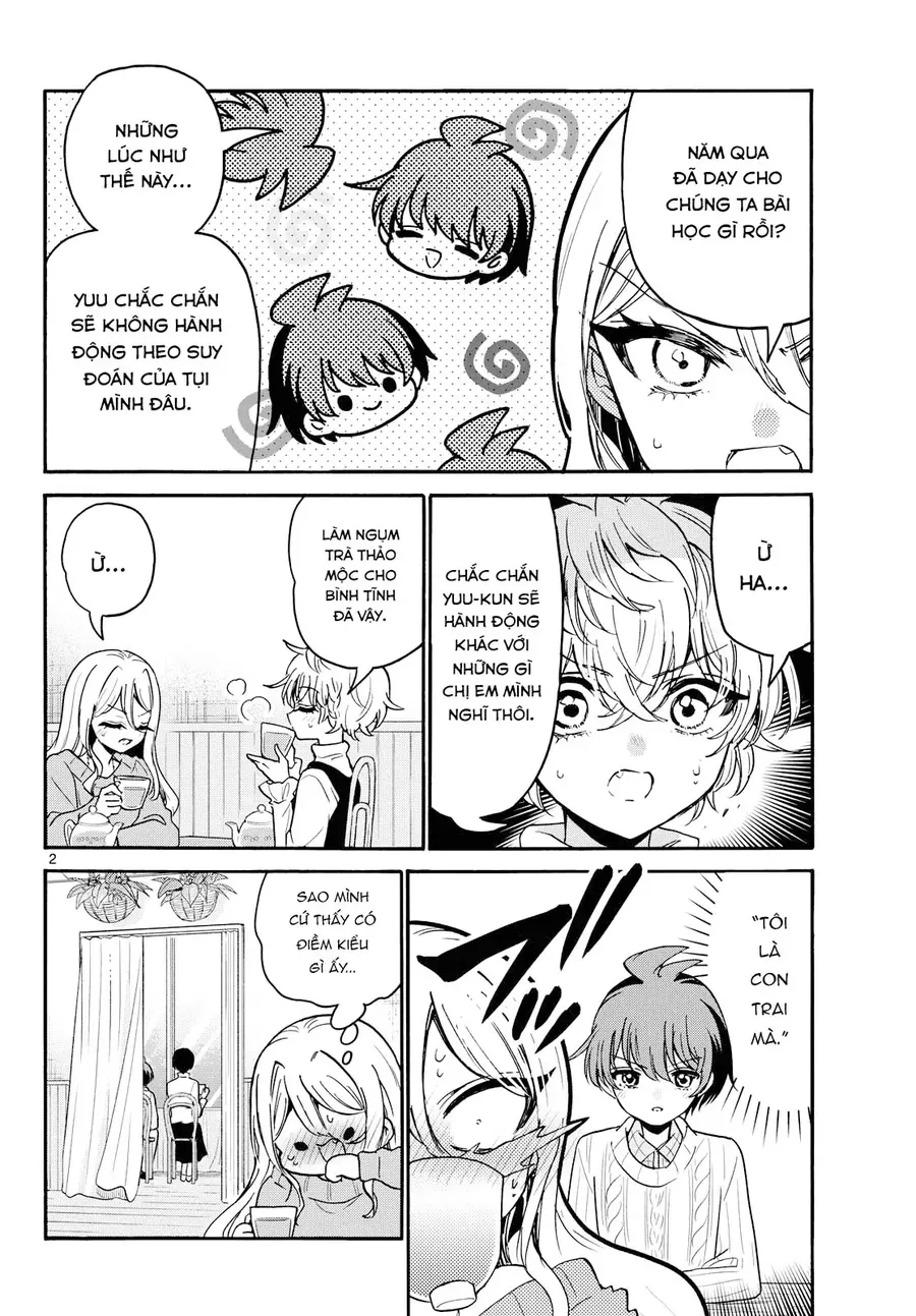 Ba Chị Em Nhà Mikadono Dễ Đối Phó Thật Đấy Chap 216 - Next Chap 217