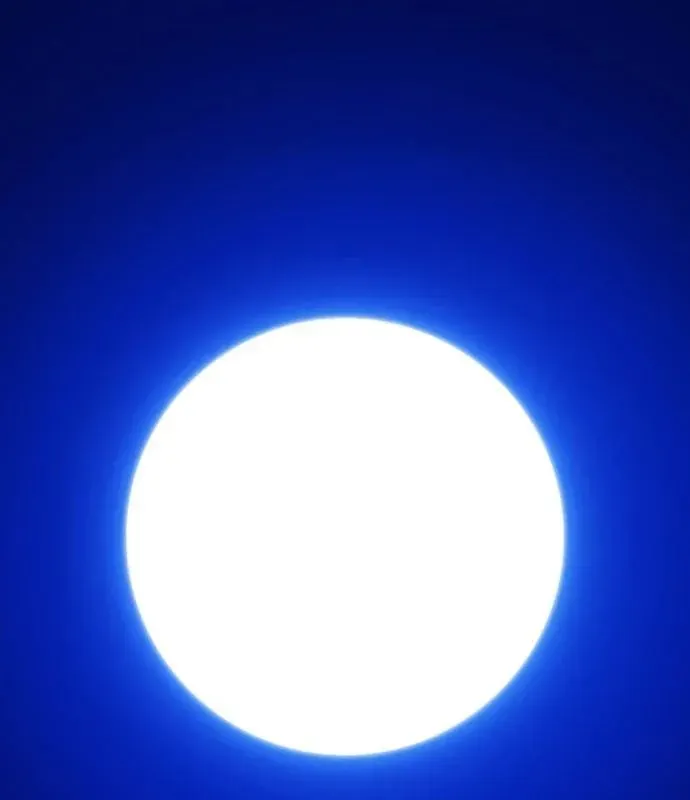 Gậy Gỗ Cấp 99+ Chap 177 - Next Chap 178