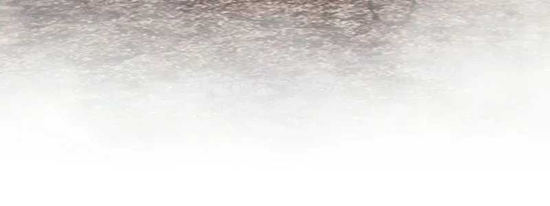 Gậy Gỗ Cấp 99+ Chap 186 - Next Chap 187