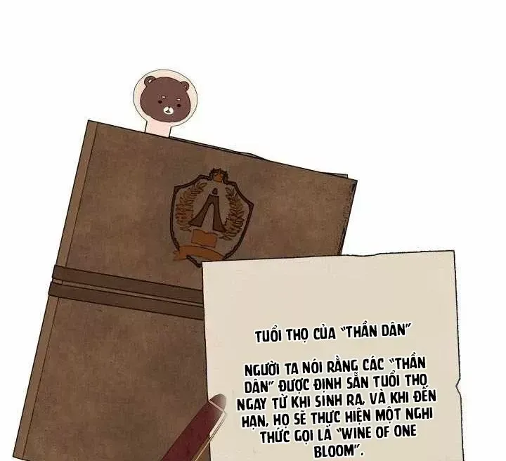 Đại Pháp Sư Toàn Năng Chap 162 - Next Chap 163