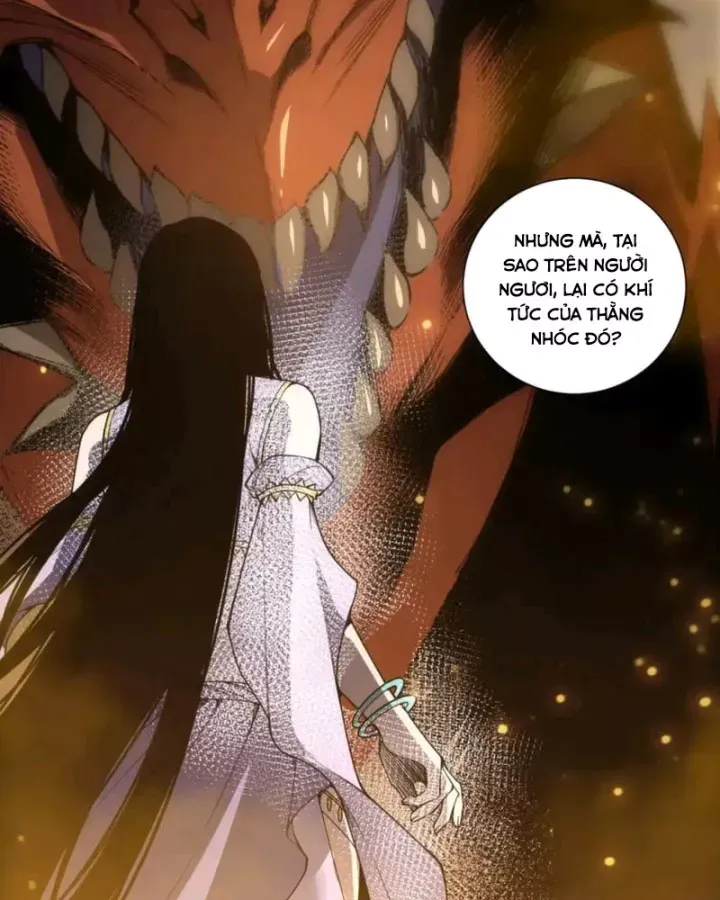 Thảm Họa Tử Linh Sư Chap 249 - Next Chap 250