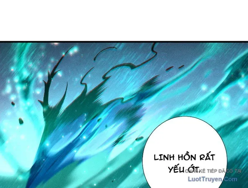 Thảm Họa Tử Linh Sư Chap 243 - Next Chap 244