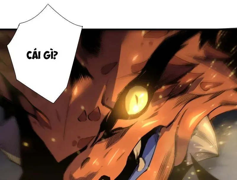 Thảm Họa Tử Linh Sư Chap 243 - Next Chap 244