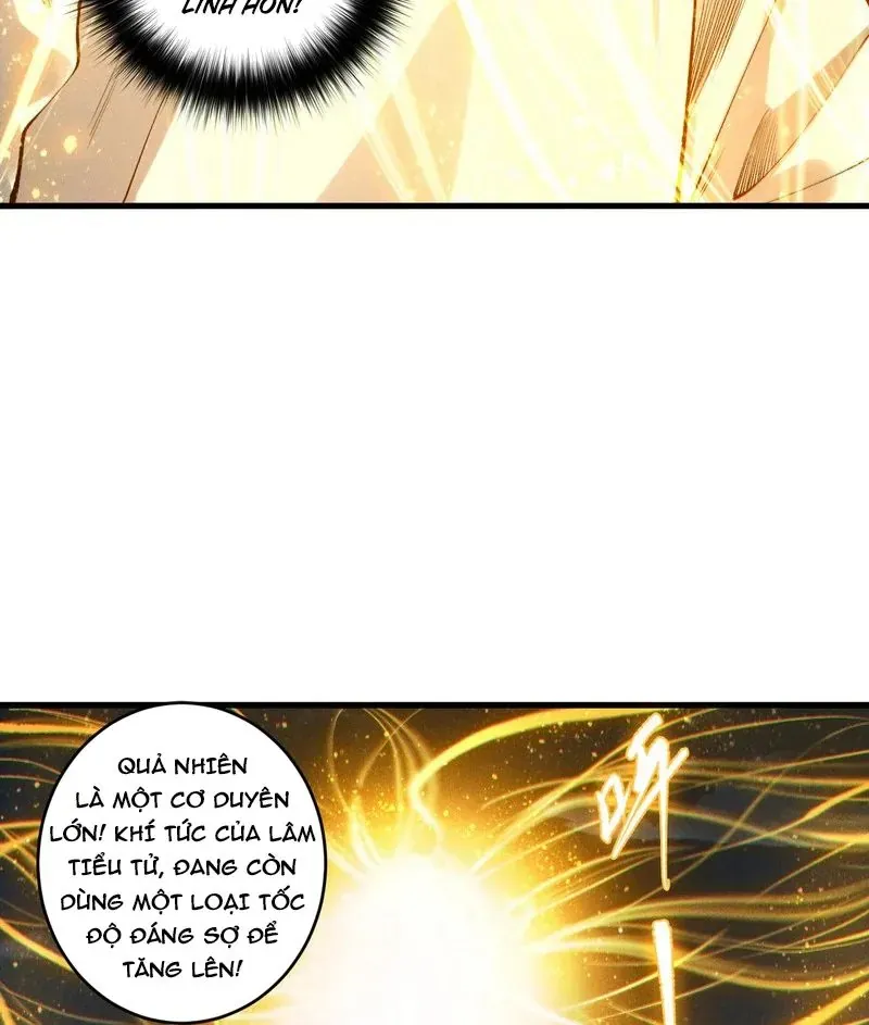 Thảm Họa Tử Linh Sư Chap 251 - Next Chap 252