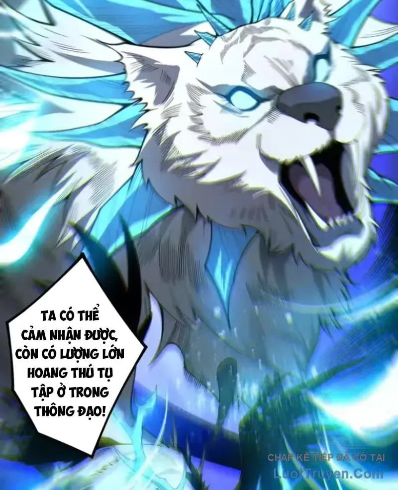 Thảm Họa Tử Linh Sư Chap 252 - Next Chap 253