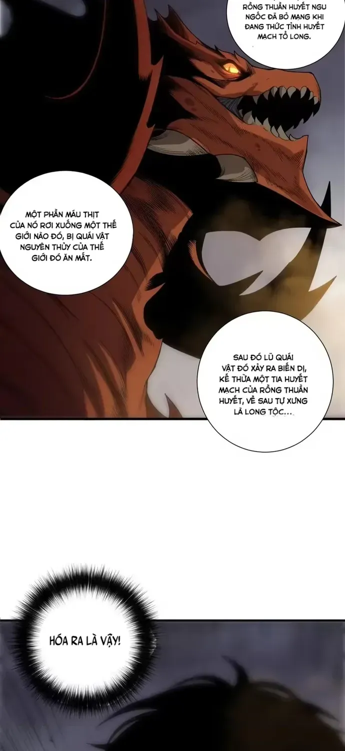 Thảm Họa Tử Linh Sư Chap 264 - Next Chap 265