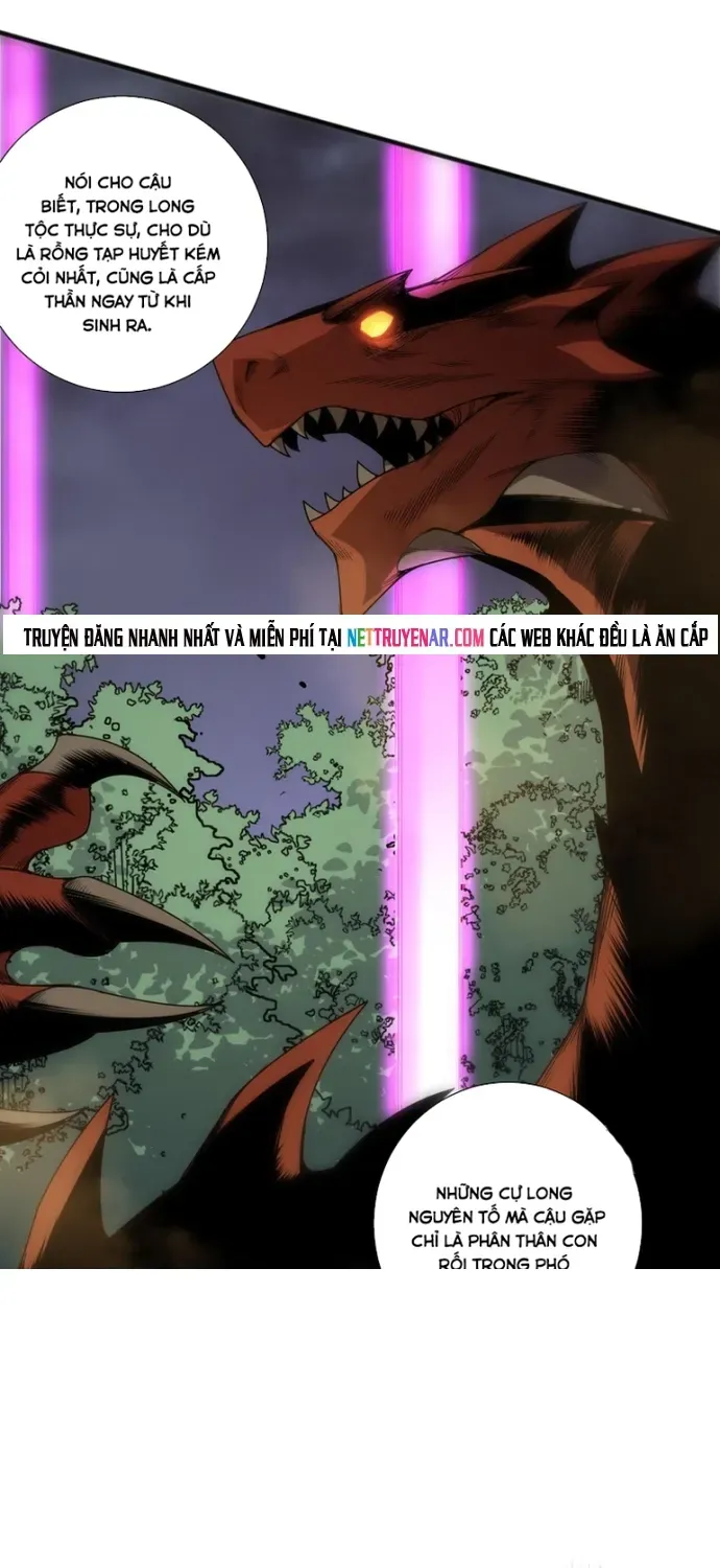 Thảm Họa Tử Linh Sư Chap 264 - Next Chap 265