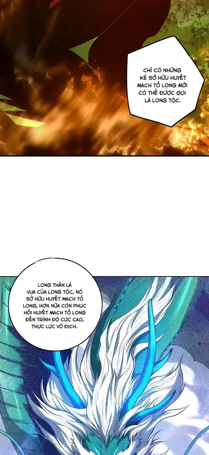 Thảm Họa Tử Linh Sư Chap 264 - Next Chap 265