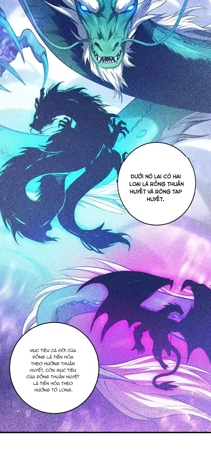 Thảm Họa Tử Linh Sư Chap 264 - Next Chap 265