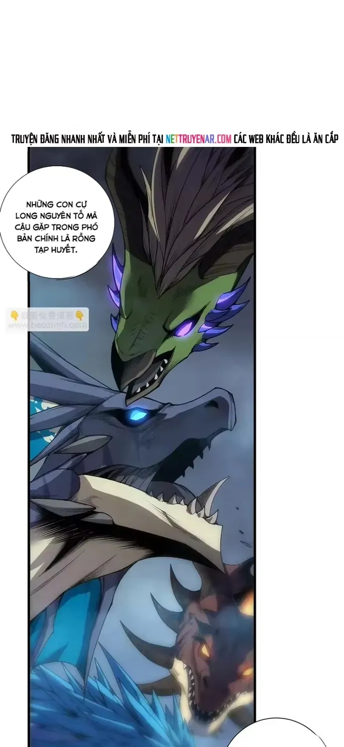 Thảm Họa Tử Linh Sư Chap 264 - Next Chap 265