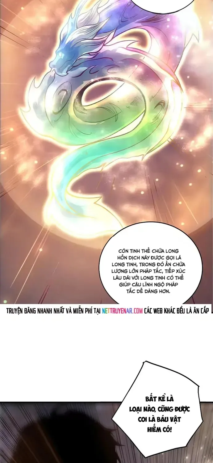 Thảm Họa Tử Linh Sư Chap 264 - Next Chap 265