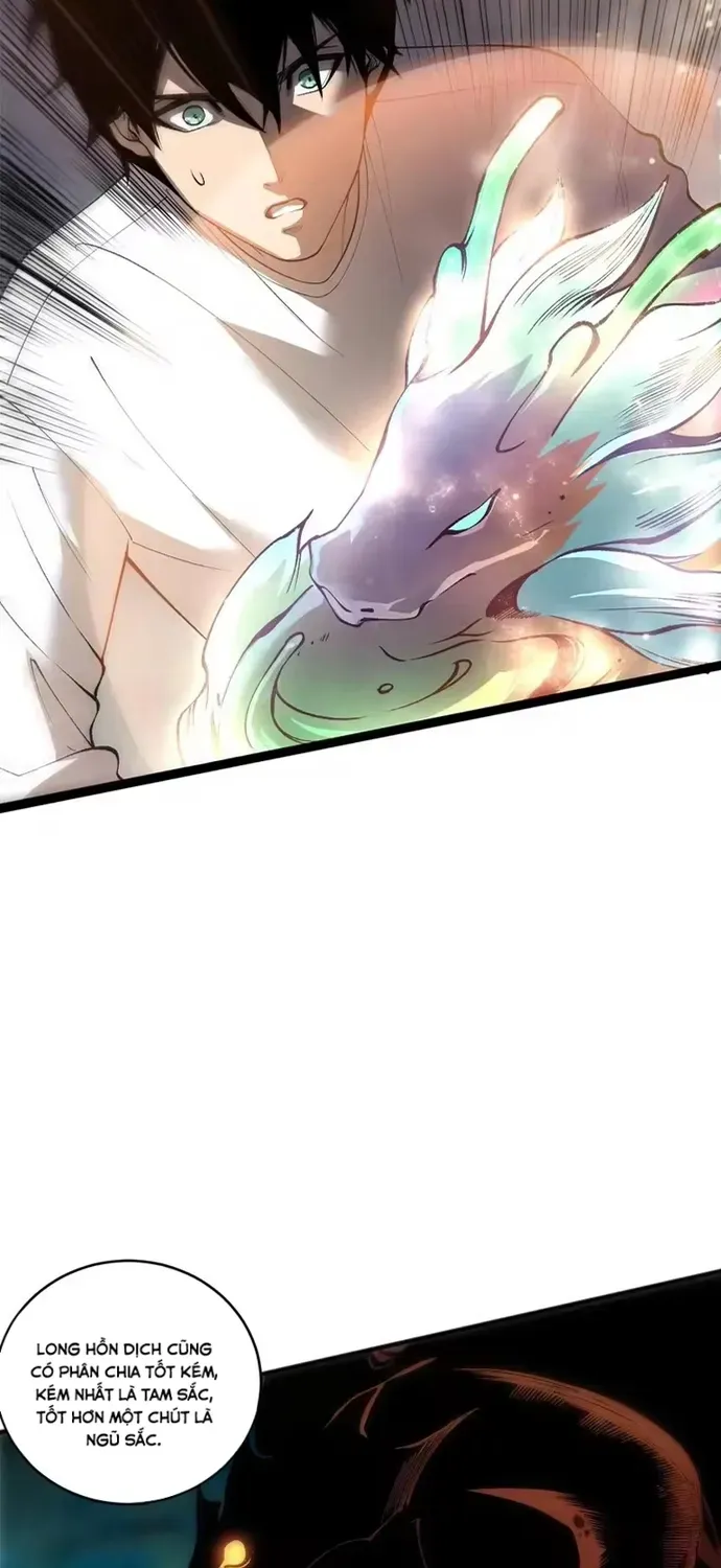 Thảm Họa Tử Linh Sư Chap 264 - Next Chap 265