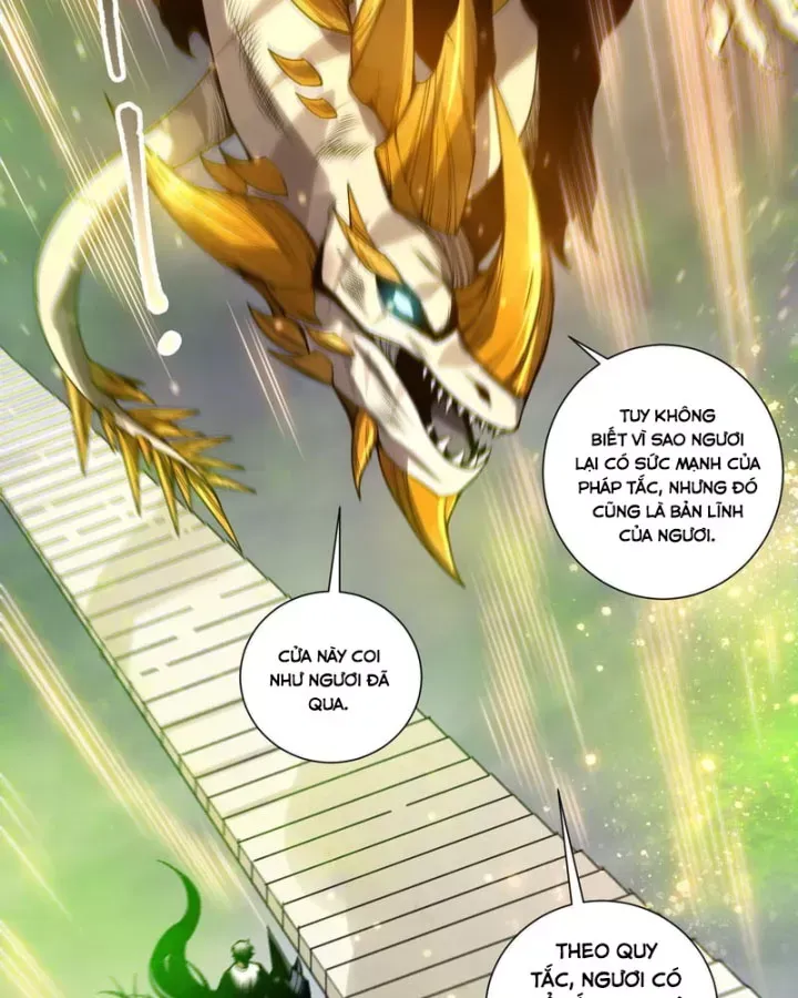 Thảm Họa Tử Linh Sư Chap 260.5 - Next Chap 261.5