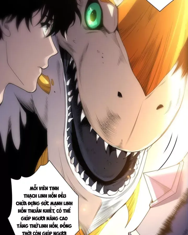 Thảm Họa Tử Linh Sư Chap 260.5 - Next Chap 261.5