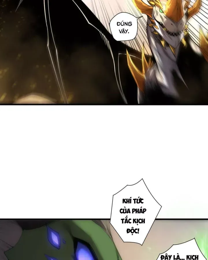 Thảm Họa Tử Linh Sư Chap 260.5 - Next Chap 261.5