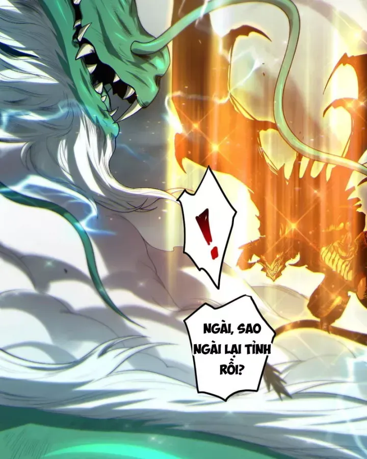 Thảm Họa Tử Linh Sư Chap 260.5 - Next Chap 261.5