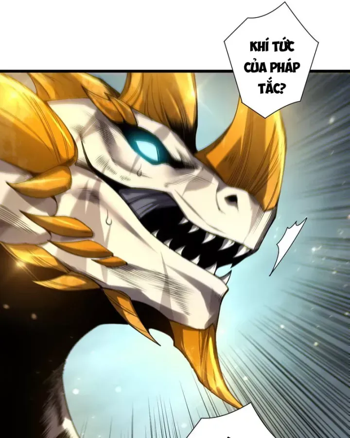Thảm Họa Tử Linh Sư Chap 260.5 - Next Chap 261.5