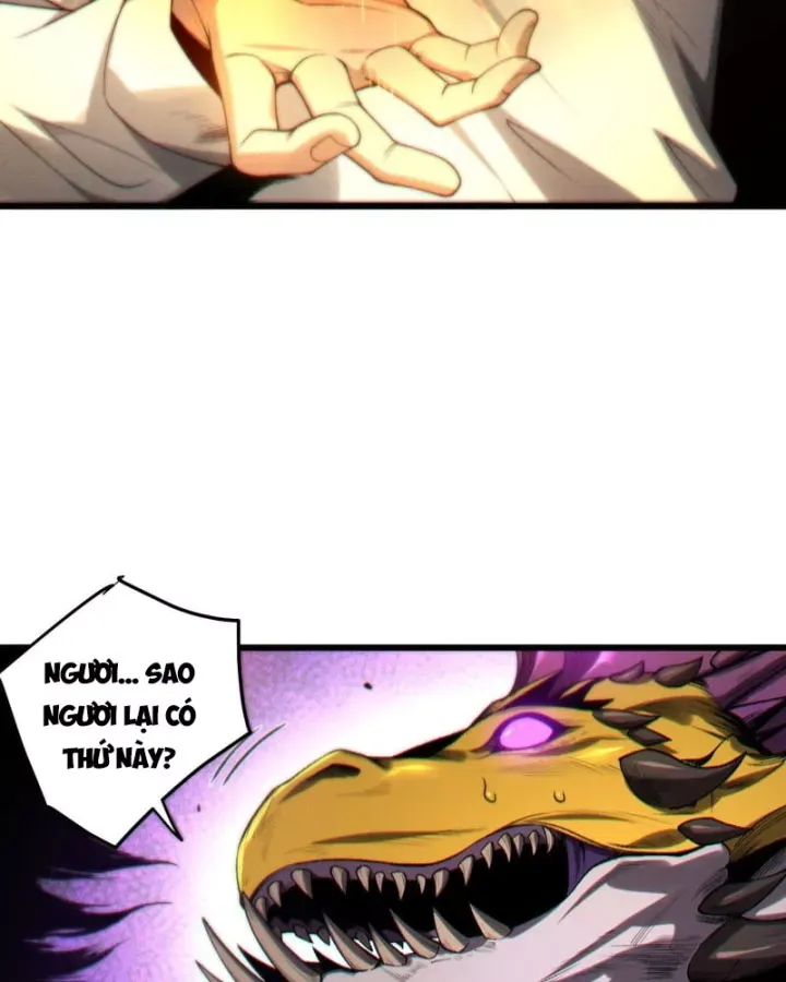 Thảm Họa Tử Linh Sư Chap 261 - Next Chap 262