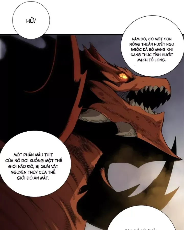 Thảm Họa Tử Linh Sư Chap 263 - Next Chap 264