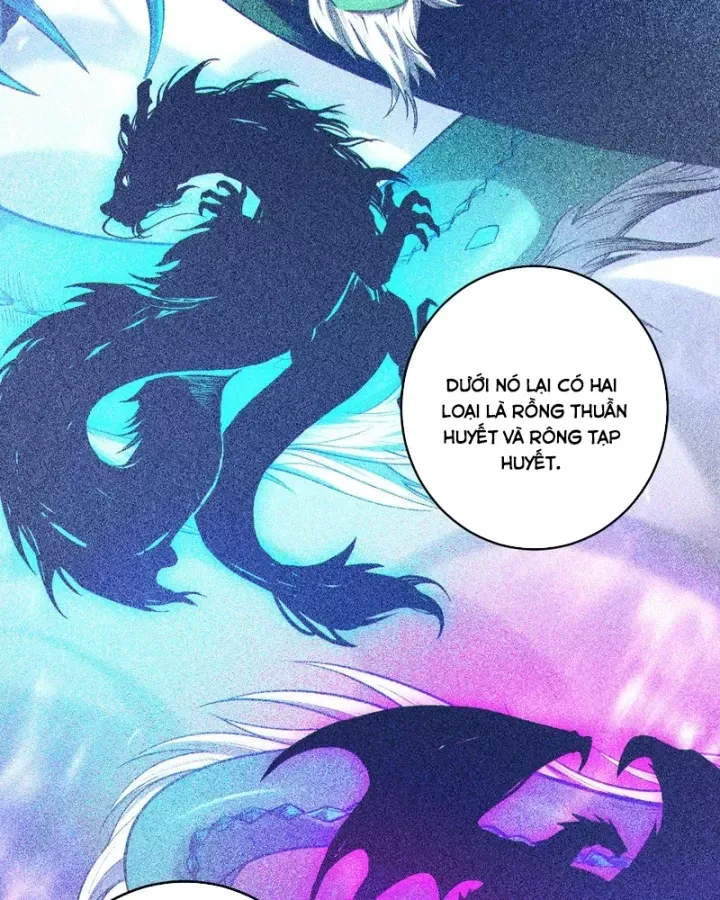 Thảm Họa Tử Linh Sư Chap 263 - Next Chap 264