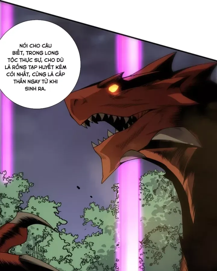 Thảm Họa Tử Linh Sư Chap 263 - Next Chap 264