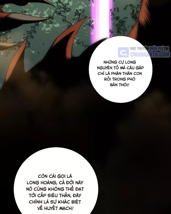 Thảm Họa Tử Linh Sư Chap 263 - Next Chap 264