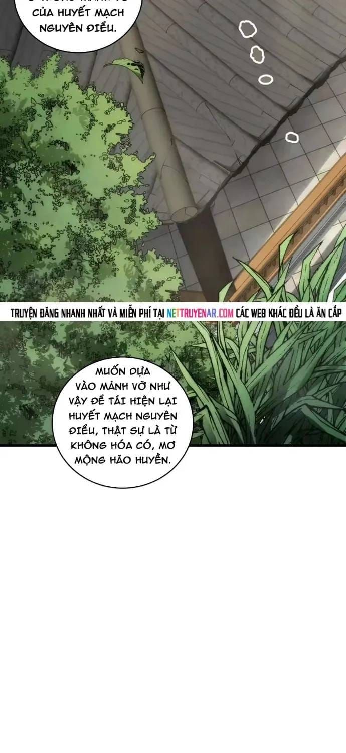 Thảm Họa Tử Linh Sư Chap 272 - Next Chap 273