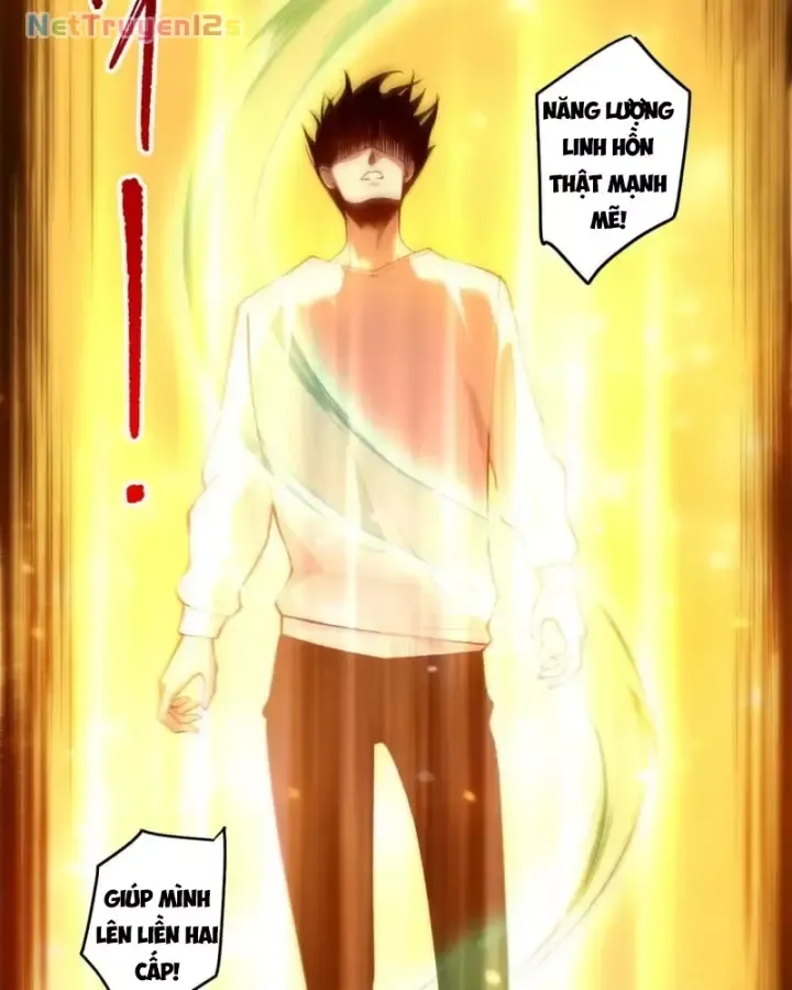 Thảm Họa Tử Linh Sư Chap 288 - Next Chap 289