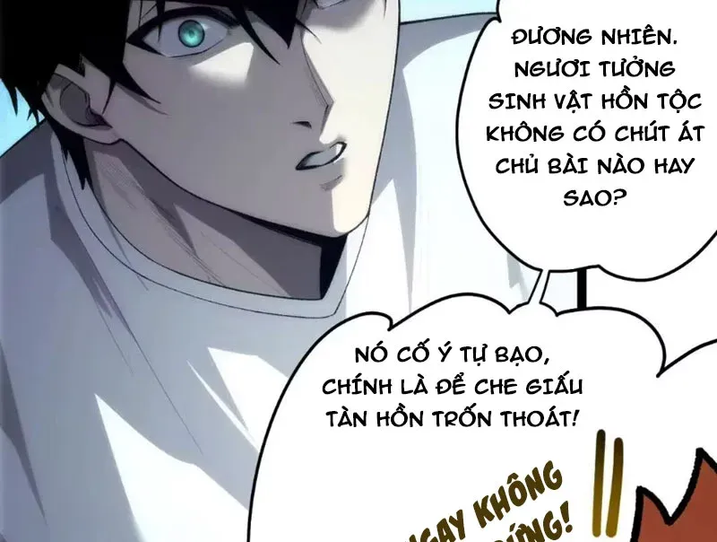Thảm Họa Tử Linh Sư Chap 291 - Next Chap 292