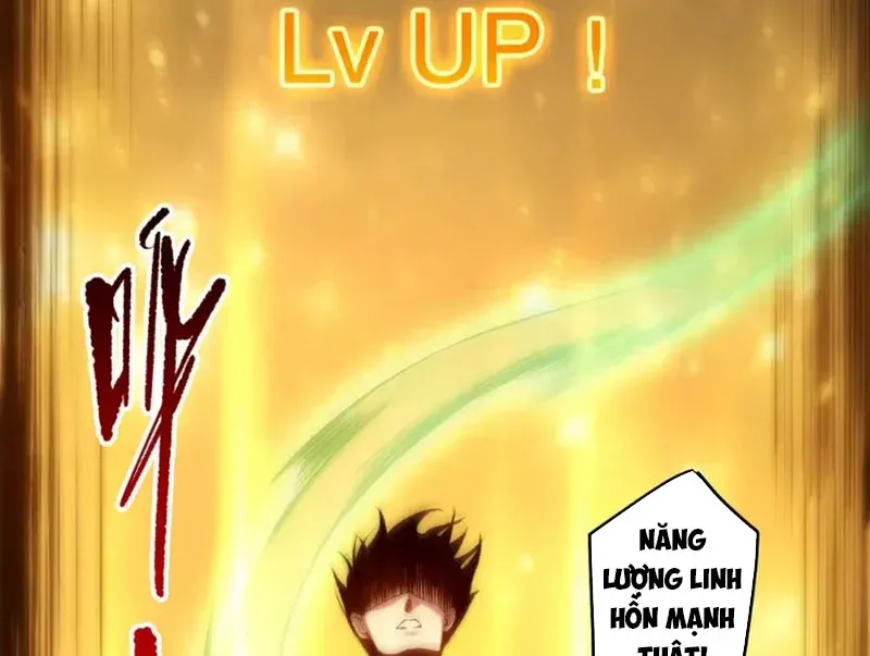 Thảm Họa Tử Linh Sư Chap 291 - Next Chap 292
