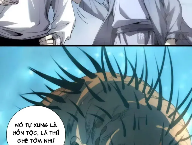 Thảm Họa Tử Linh Sư Chap 291 - Next Chap 292