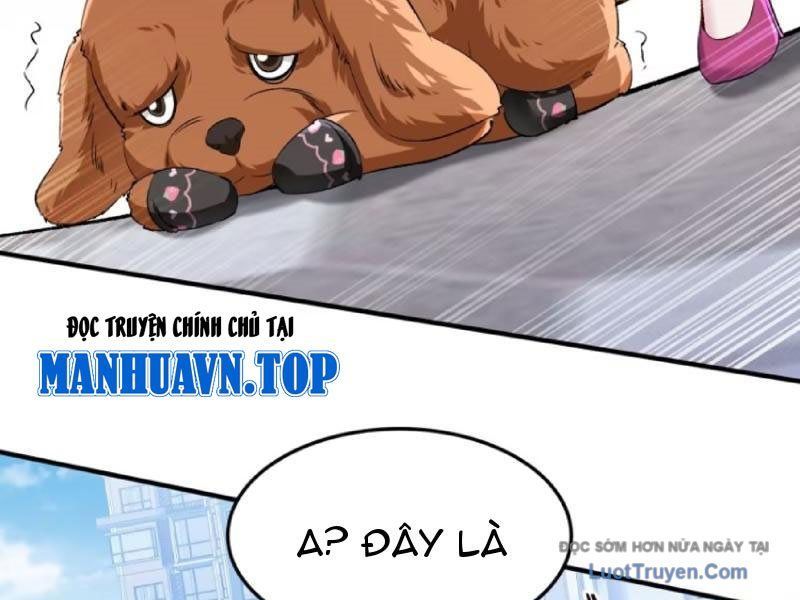 Bỏ Làm Simp Chúa, Ta Có Trong Tay Cả Tỉ Thần Hào Chap 254 - Next Chap 255