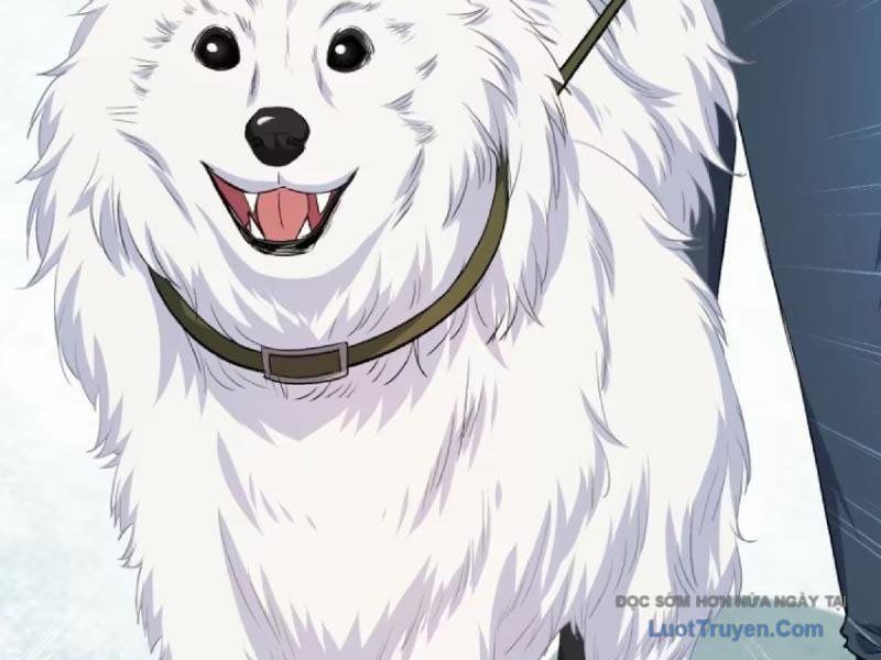 Bỏ Làm Simp Chúa, Ta Có Trong Tay Cả Tỉ Thần Hào Chap 253 - Next Chap 254