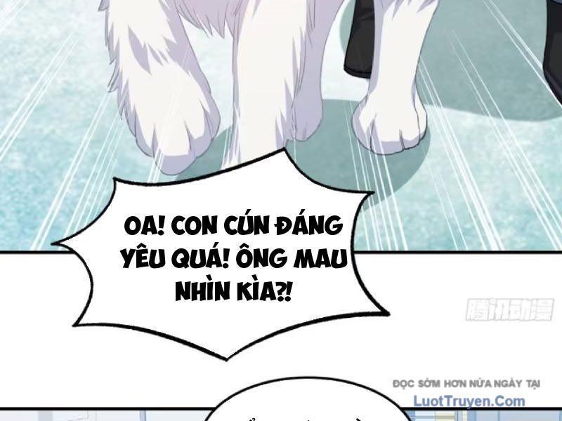 Bỏ Làm Simp Chúa, Ta Có Trong Tay Cả Tỉ Thần Hào Chap 253 - Next Chap 254