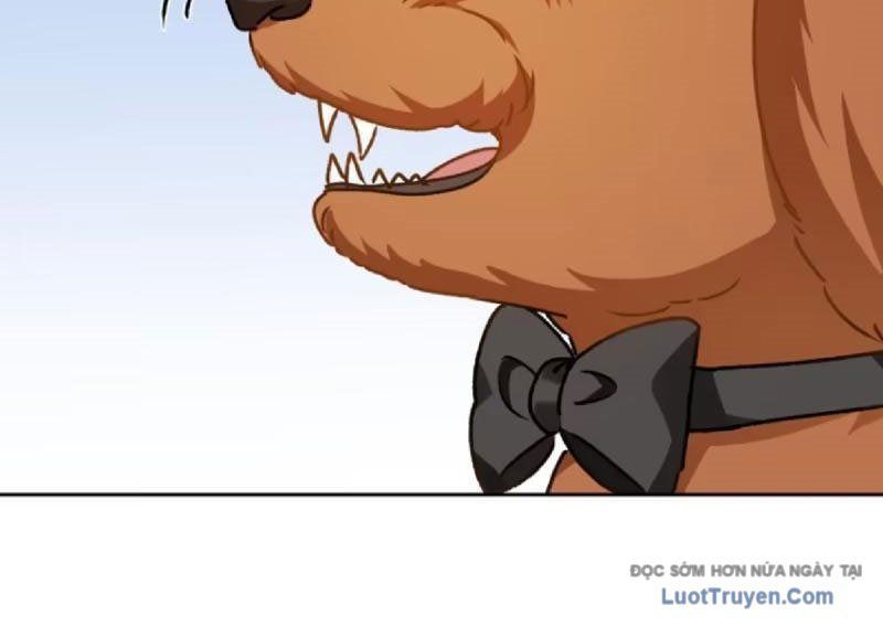 Bỏ Làm Simp Chúa, Ta Có Trong Tay Cả Tỉ Thần Hào Chap 253 - Next Chap 254