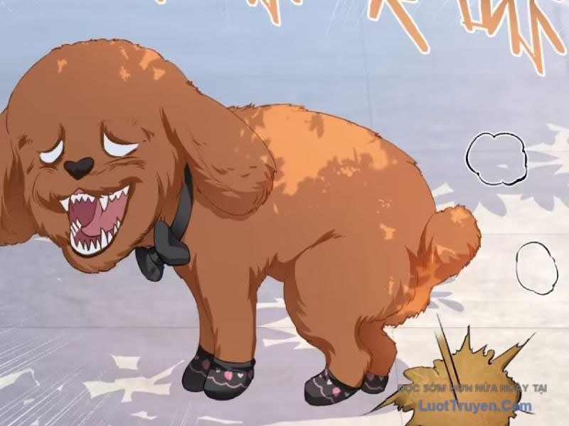 Bỏ Làm Simp Chúa, Ta Có Trong Tay Cả Tỉ Thần Hào Chap 253 - Next Chap 254